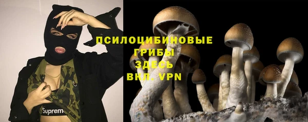 бутират Верхний Тагил