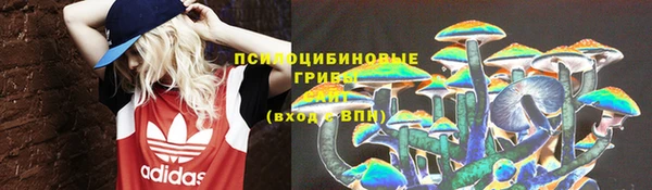 ECSTASY Верея