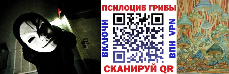 МЕГА ONION  где найти   Калач-на-Дону  Галлюциногенные грибы Psilocybe 